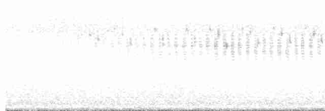 cvrčilka říční - ML619219828