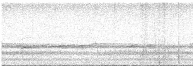Chouette rayée - ML619220394