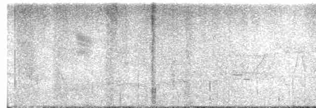 Черногорлая хвойница - ML619220434