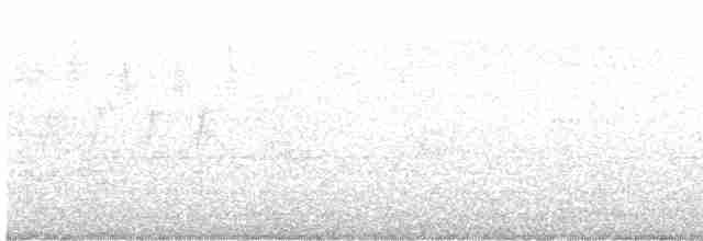 Атласная нектарница - ML619220731