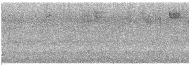 גיבתונית לבנת-גרון - ML619220896