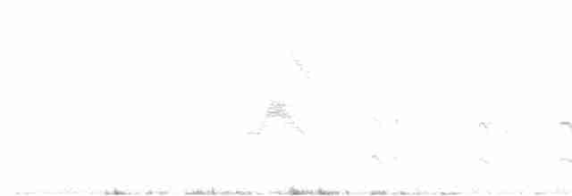 Grauscheitel-Olivtyrann - ML619221211