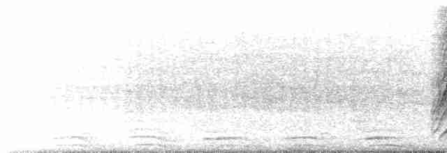 Büyük Kiskadi Tiranı - ML619221249
