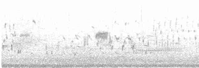 Приморская овсянка-барсучок - ML619221352