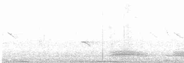 Cuervo Picudo (grupo macrorhynchos) - ML619221613