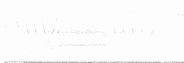 Желтокрылая червеедка - ML619221743