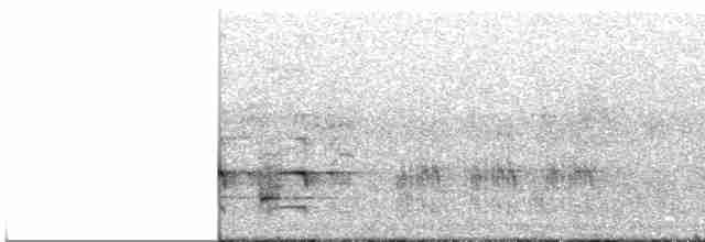 Great Reed Warbler - ML619221944