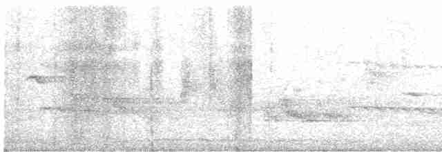 Alción de Esmirna - ML619221946