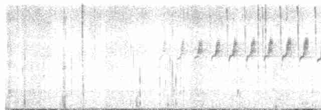 Paruline à couronne rousse - ML619222143