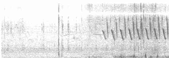 Wilson's Warbler - ML619222699
