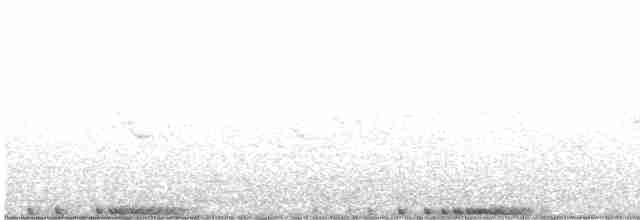野鴿(野化) - ML619222700