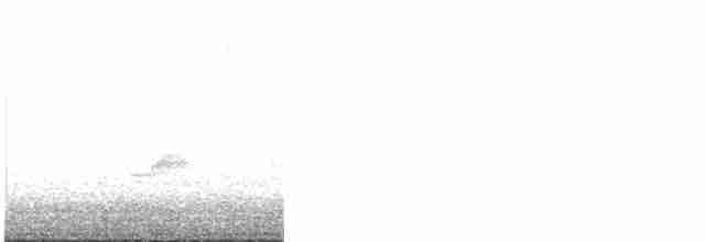 Чернокрылая пиранга - ML619222793