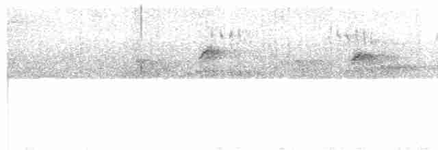 ニシヒメアマツバメ - ML619223058