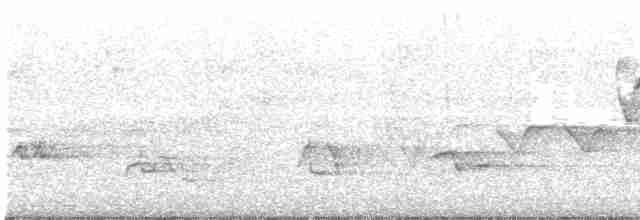 Hooded Warbler - ML619223493