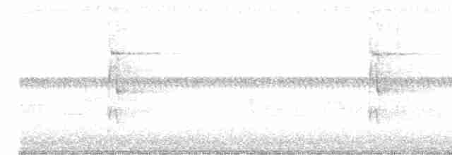 strakapoud americký - ML619223618