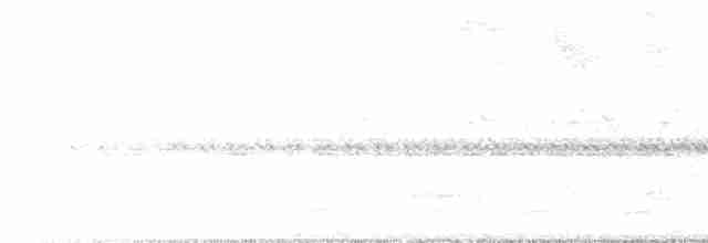 Tangara à galons blancs - ML619223732