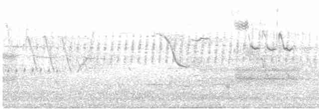 Піві-малюк вербовий - ML619223810