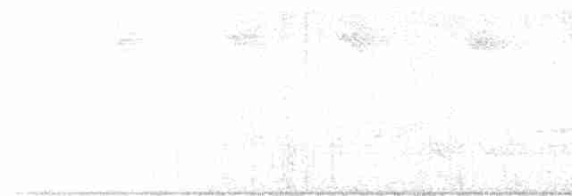 Blackpoll Warbler - ML619223846