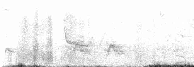 Cuervo Pescador - ML619224020