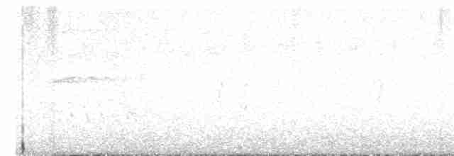 סנונית רפתות - ML619224246