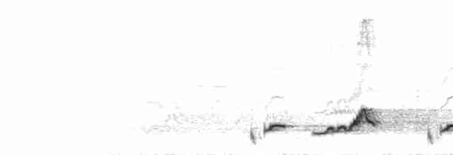 Schwarzkehl-Nachtschwalbe - ML619224315