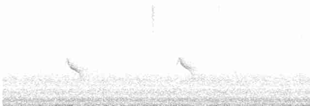 Evening Grosbeak (type 1) - ML619224327