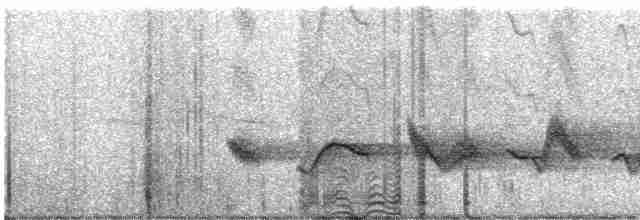Чернокрылая пиранга - ML619224981