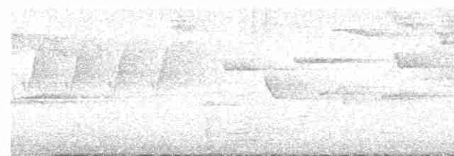 střízlík obecný - ML619225077