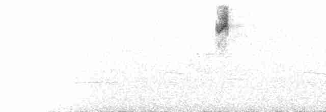 Трясогузковый певун - ML619225615