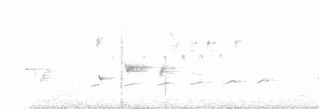 Вилохвостая дронговая кукушка - ML619225626