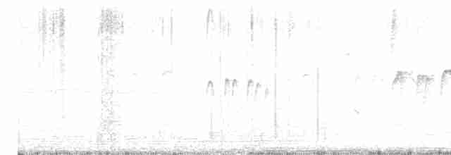 Серпокрилець південноазійський - ML619226083