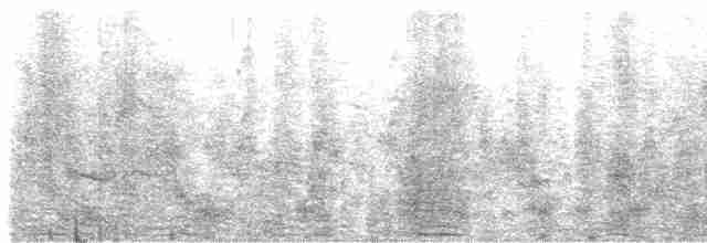 אנפית בקר מערבית - ML619226906