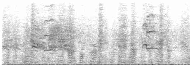 אנפית בקר מערבית - ML619226908