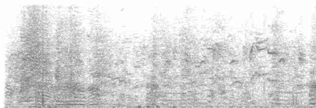 Western Cattle Egret - ML619226911