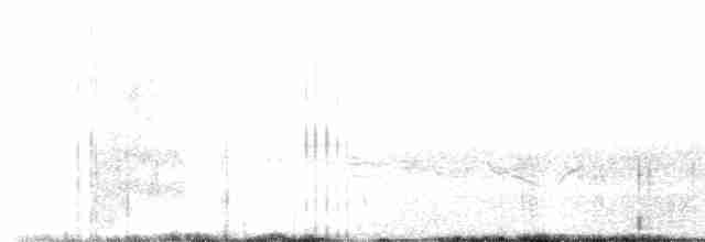 Синьохвіст білобровий - ML619226932