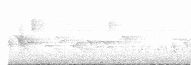 極北柳鶯 - ML619227041