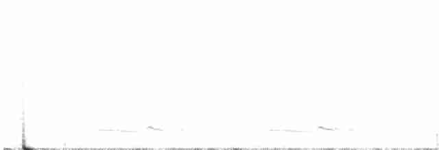 Winternachtschwalbe - ML619227500