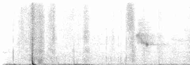 Eastern Meadowlark (Eastern) - ML619227905