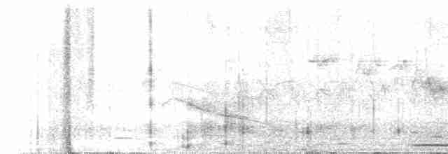 Uzun Gagalı Ardıç - ML619227994