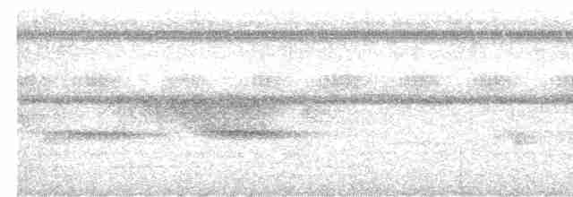 Кораловоклювая воронья кукушка - ML619228788