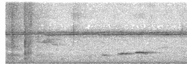 Кораловоклювая воронья кукушка - ML619228791