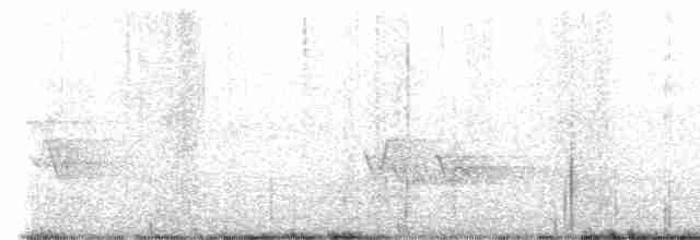 Hooded Warbler - ML619228877