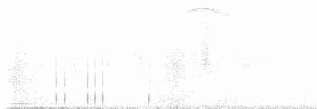 Ширококрылый канюк - ML619229002