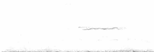 Ширококрылый канюк - ML619229004