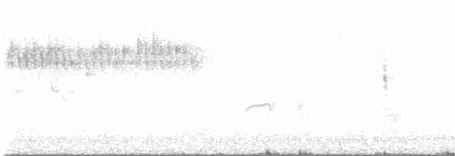 Обыкновенный сверчок - ML619229033