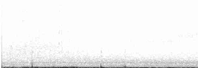 Canada Warbler - ML619229337