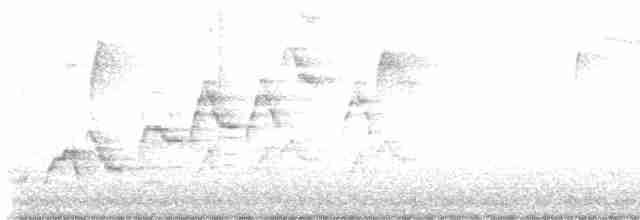 Дрізд-короткодзьоб Cвенсона - ML619230117