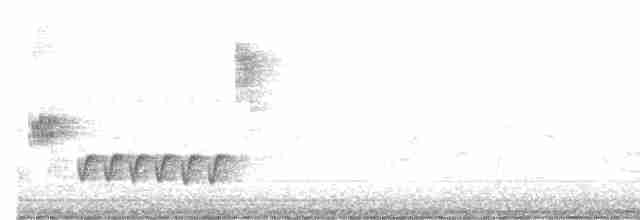 Bülbül (megarhynchos/africana) - ML619230386