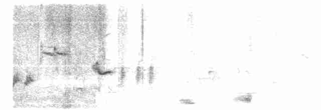 Oriole des vergers - ML619230570