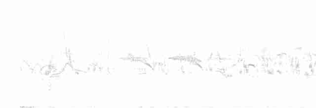 Средиземноморский жаворонок - ML619230959
